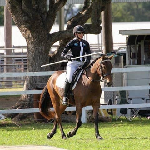 Pre-competition Exercise 2