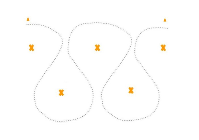 Obstacle Spotlight: Double&nbsp;Slalom